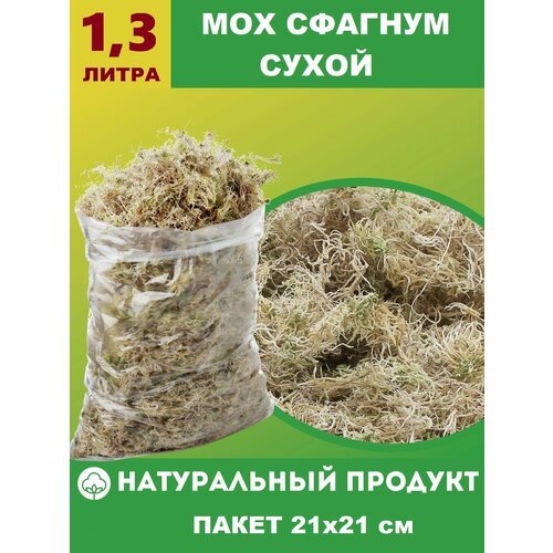 ���� ��� ������� ����� 1,3 ����� ��� �������, ������ �� 375 ���