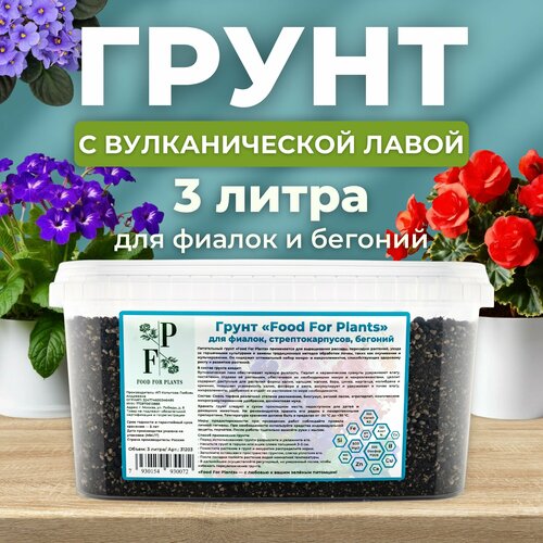 ���� �������� ��� ��������� ��������. ����� ��� ������, ��������������� � �������, ������ �� 675 ���