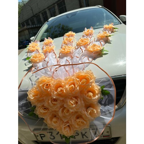 ���� ����� ��� ���������� ���� 