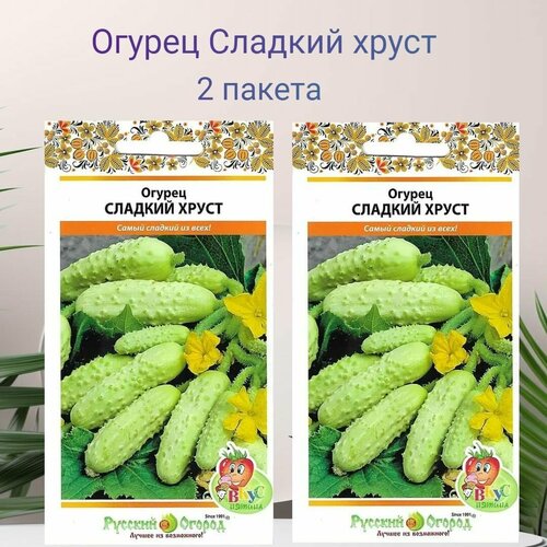 ���� ������ ������� ����� 2 ������ �� 12�� �����, ������ �� 309 ���