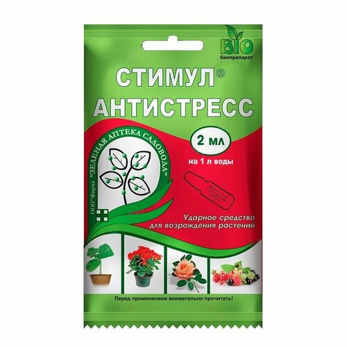 ���� ������ 2�� (������� ������ ��������), ������ �� 64 ���