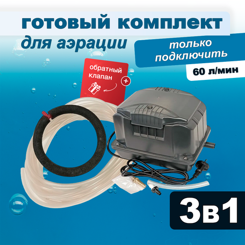 ���� �������� ������� ��� ����� � �����, ���������� + ������� + �����, 60 �/���, ������ �� 16750 ���