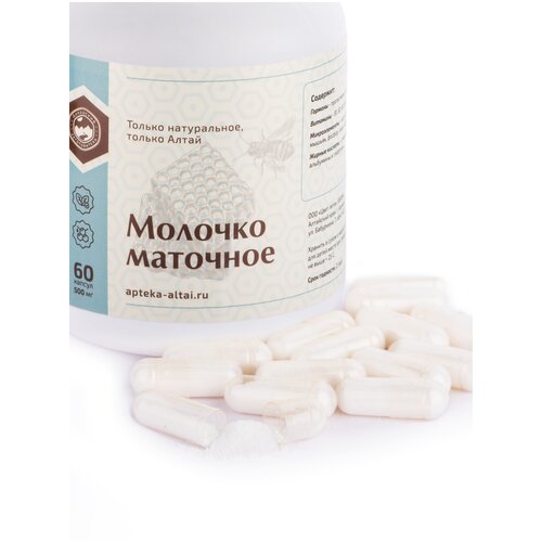 ���� �������� ������� �������� ������� �2 ����� - ��������� ������������, ������ �� 1350 ���