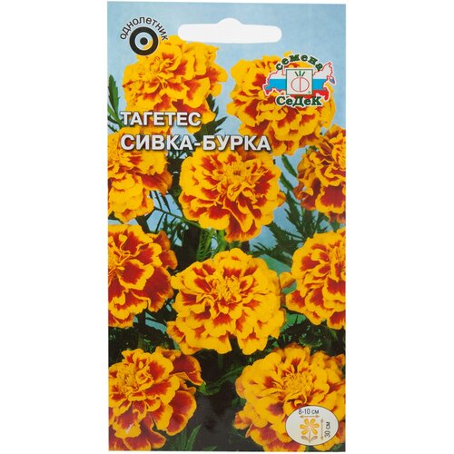 ���� ������ ��������� �����-�����, ������ �� 345 ���