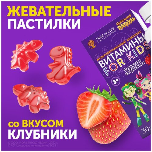 ���� ���������� �������� ��� ����� ��������� �3, �, B12, ���������� ��������, 30 ��, ������ �� 505 ���