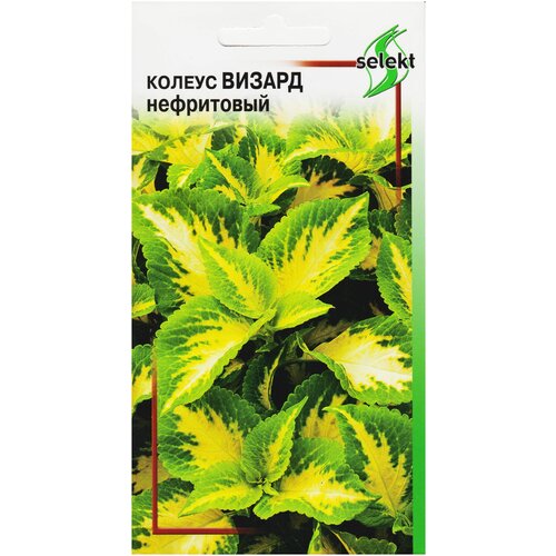 ���� ������ ������, ����������, 15 �����, ������ �� 288 ���