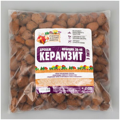 ���� ������ �������� 