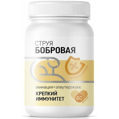 ���� �������� ����� 