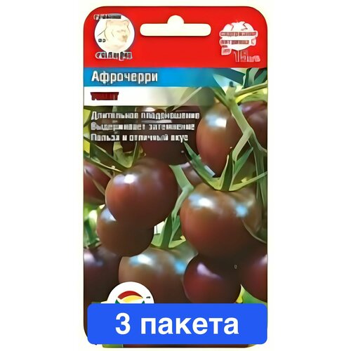 ���� ������ ������ ��������� ��� 