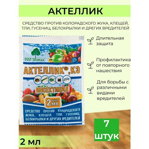 ���� �������� ������ �������� ��������, ������ �� 370 ���