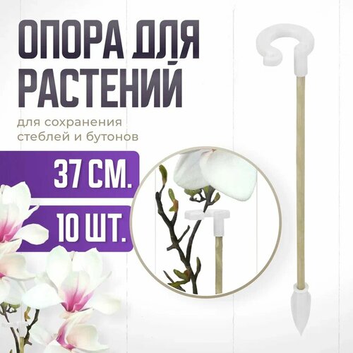 ���� ����� ��� �������� � �������, ������� ������� ��� �������, ��� ������� , ��������� ������ 37 �� 10 ��, ������ �� 300 ���