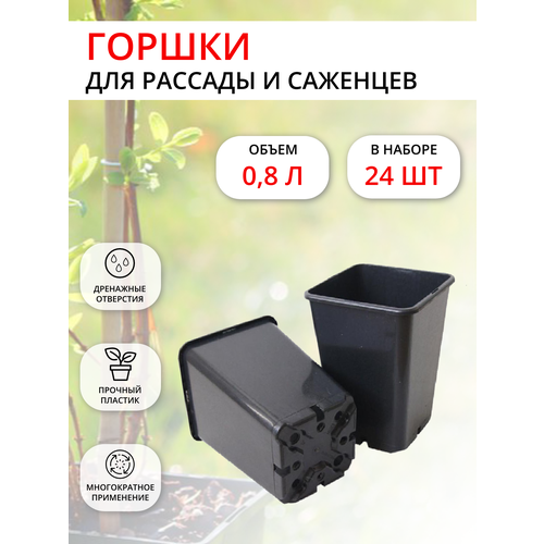 ���� ������ ��� ������� 