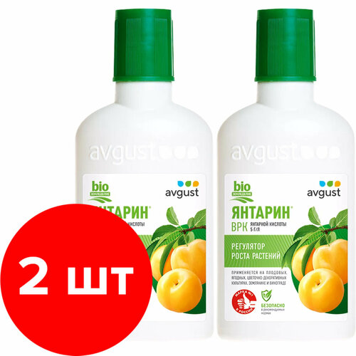 ���� ��������� ��������� ����� AVGUST ������� 2 �� �� 100�� (200 ��), ������ �� 504 ���