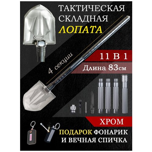 ���� ������ �������������, ��������, ��������, �����������, ������ �� 2800 ���