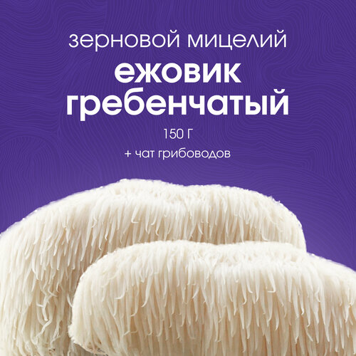 ���� ������� ������� ������������. ��������. ������ ������, ������ �� 499 ���