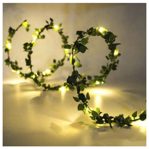 ���� �������� 