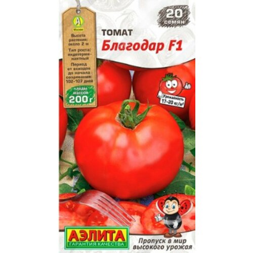 ���� ������ ����� �������� F1 20�� ����� ������ (������), ������ �� 47 ���