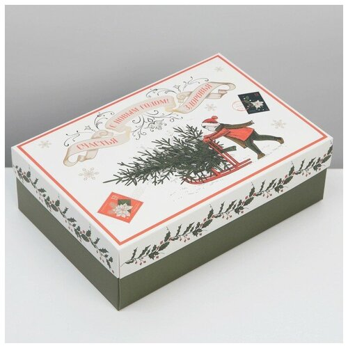 ���� ������� �������� ������, 30 ? 20 ? 9 ��, ������ �� 299 ���