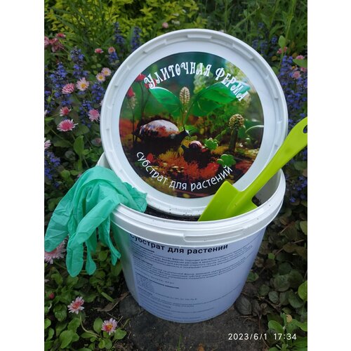 ���� ������� ����� ��� ��������� �������� � ����������� �����. �������� �1 ��������� ����� L., ������ �� 2897 ���