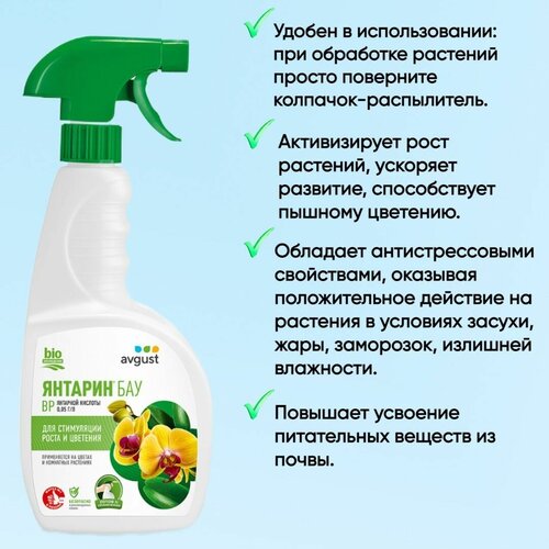 ���� ���������� ����� � �������� ��� �������� ������ ������� ���, 500 ��, ������ �� 599 ���