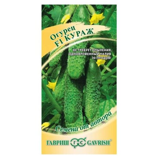 ���� ������ ������ ������ �� ������ ������ ����� F1 10 ��., ������ �� 93 ���