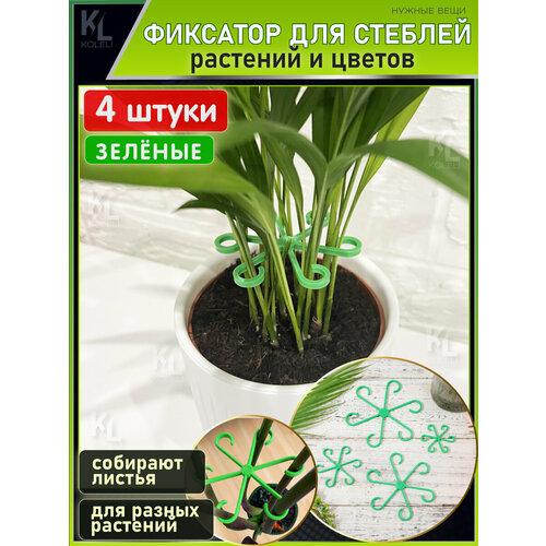  KoLeli /       /        , ,   520 