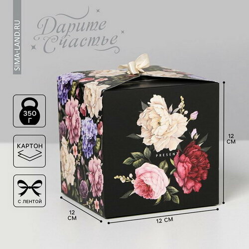 ���� ������� ���������� ��������, ��������, 