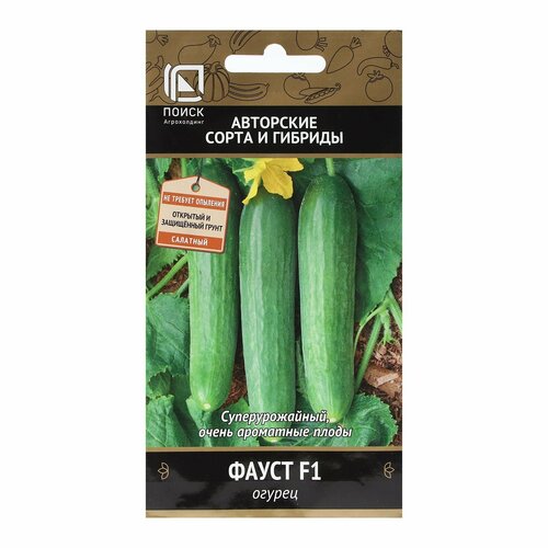 ���� ������ ������ ����� F1 12�� �� (�����) �����, ������ �� 48 ���