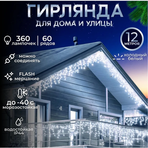 ���� ��������������� ������� �������, ������ �����, 12 ������, ������ �� 1590 ���