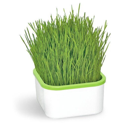 ���� �������� ���� ������������� �������������, 1 ��., �����, ������ �� 829 ���