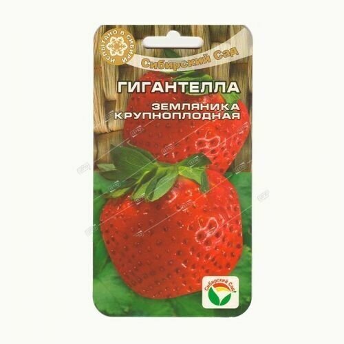 ���� ���������� 10�� �������� (��� ���), ������ �� 245 ���