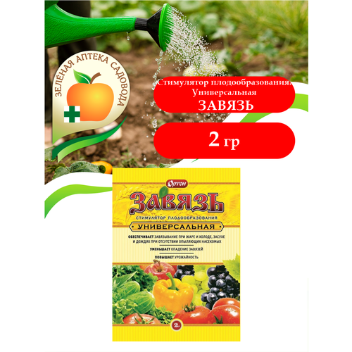 ���� ���������� ���������������� ������ ������������� 2 ��., ������ �� 78 ���