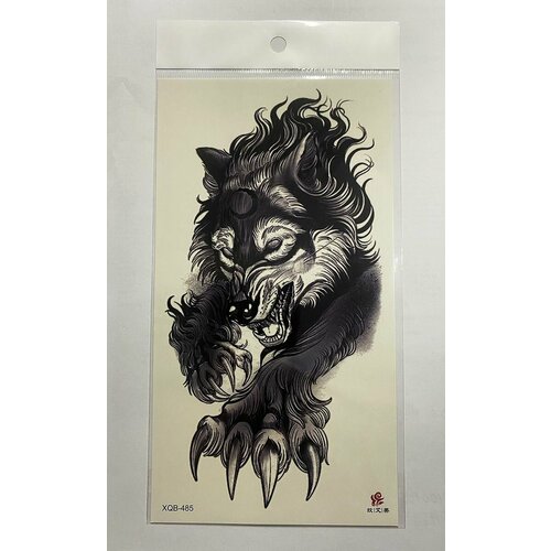 ���� ���������� �� ���� - ����, 11.3 � 21 ��, 1 ��, ������ �� 199 ���