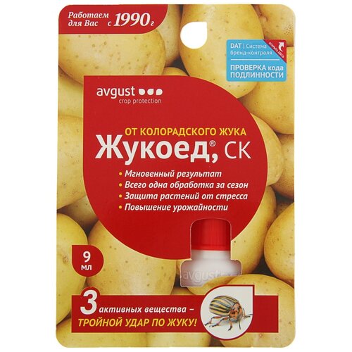 ���� Avgust �������� �� ������������ ���� ������, 9 ��, 17 �, ������ �� 245 ���