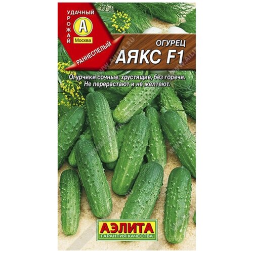 ���� ������. ������ 