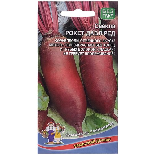 ���� ������ ������ 