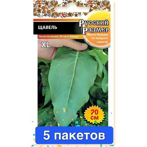 ���� ������ ������ ������� ������ 