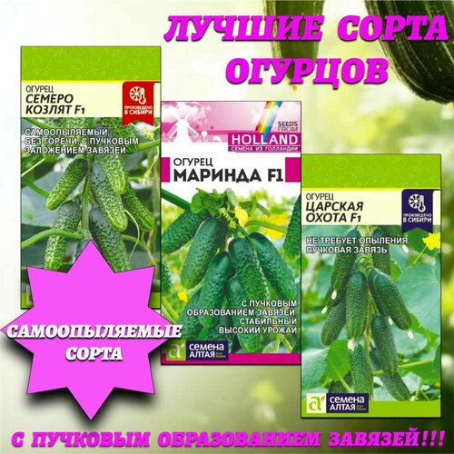 ���� ������ ����� ������������� �������� �������. ������ �����, ������ �� 478 ���