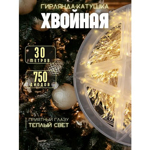 ���� ������� 