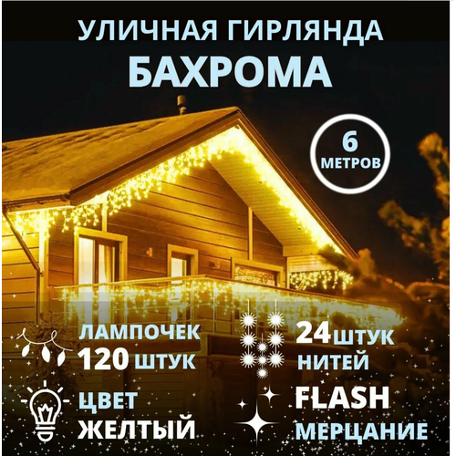 ���� �������� �� ��� 6 ������, ������� ������� �����, ������� ������� �������, ������ �� 1690 ���