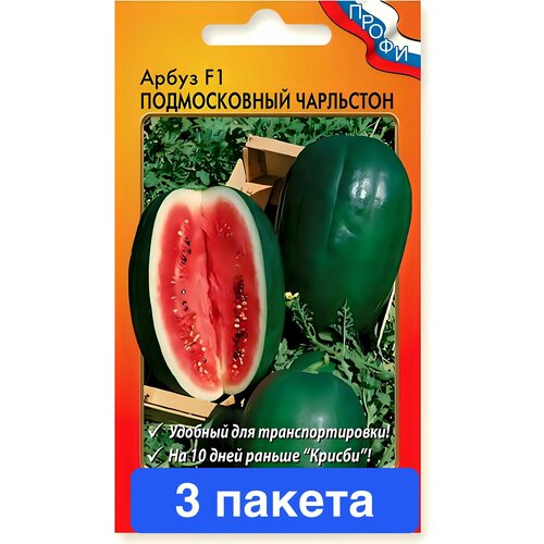 ���� ������ ������ ������� ������ 