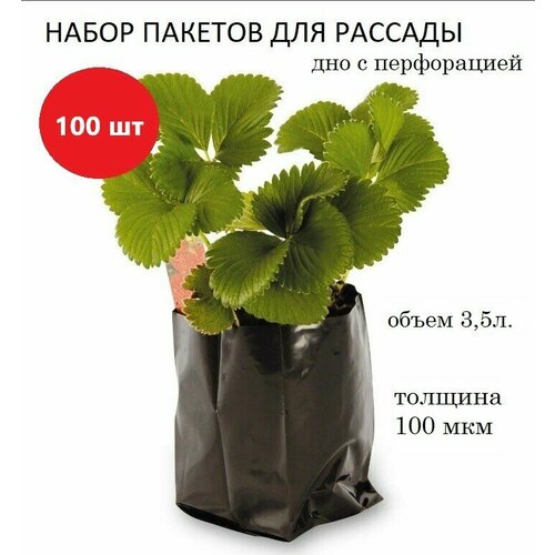     3,5,  100, , 100.,   895 