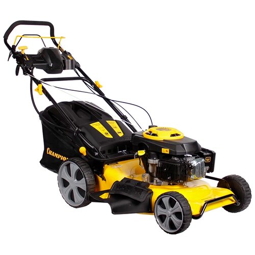 ���� ���������� ������������� CHAMPION LM5346E, 6 �.�., 52.5 ��, ������ �� 58255 ���