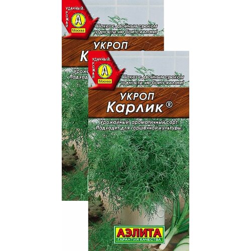 ���� ����� ������ (3 �), 2 ������, ������ �� 249 ���