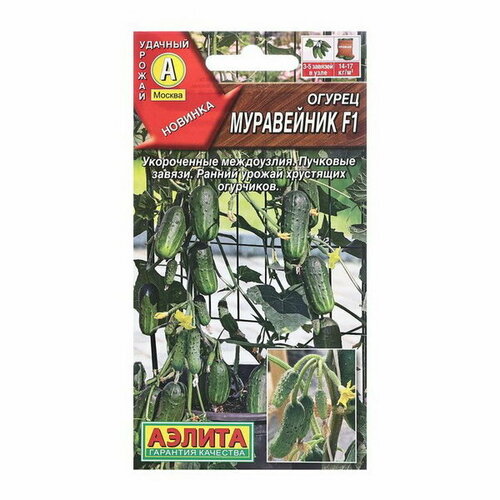 ���� ������ ������ ���������� F1 ���� �/� 10��, ������ �� 96 ���