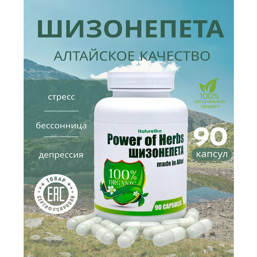 ���� ����������, ������ �� 671 ���