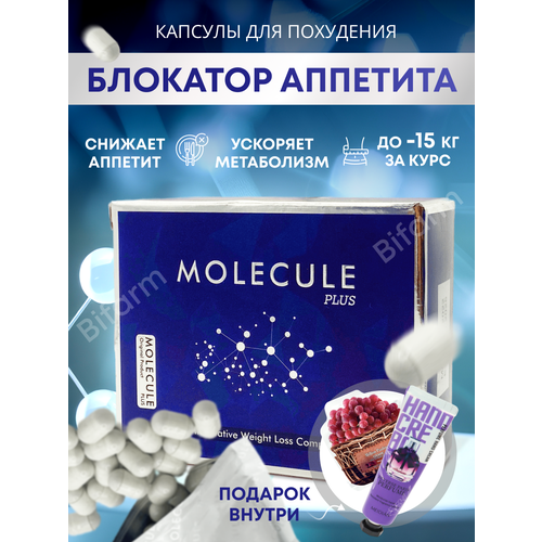 ���� �������� �������� ��� ���������, ������ �� 1170 ���