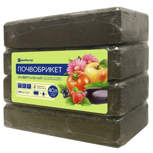 ���� ����������� ������������� ���������, 40�, ������ �� 1866 ���