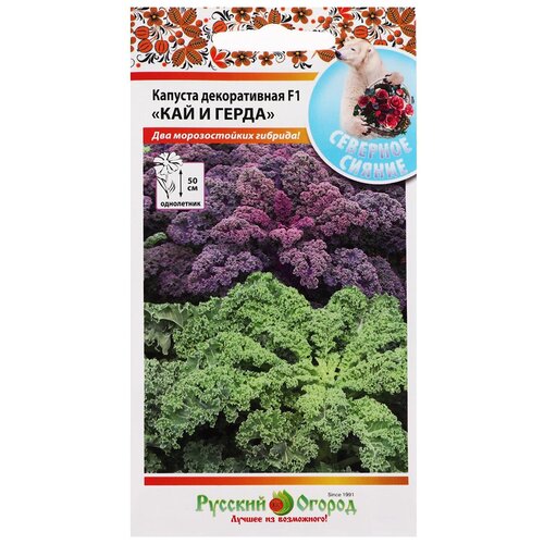 ���� ������ ������ ������� ������������ 