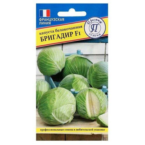 ���� ������ ������� ������������ 